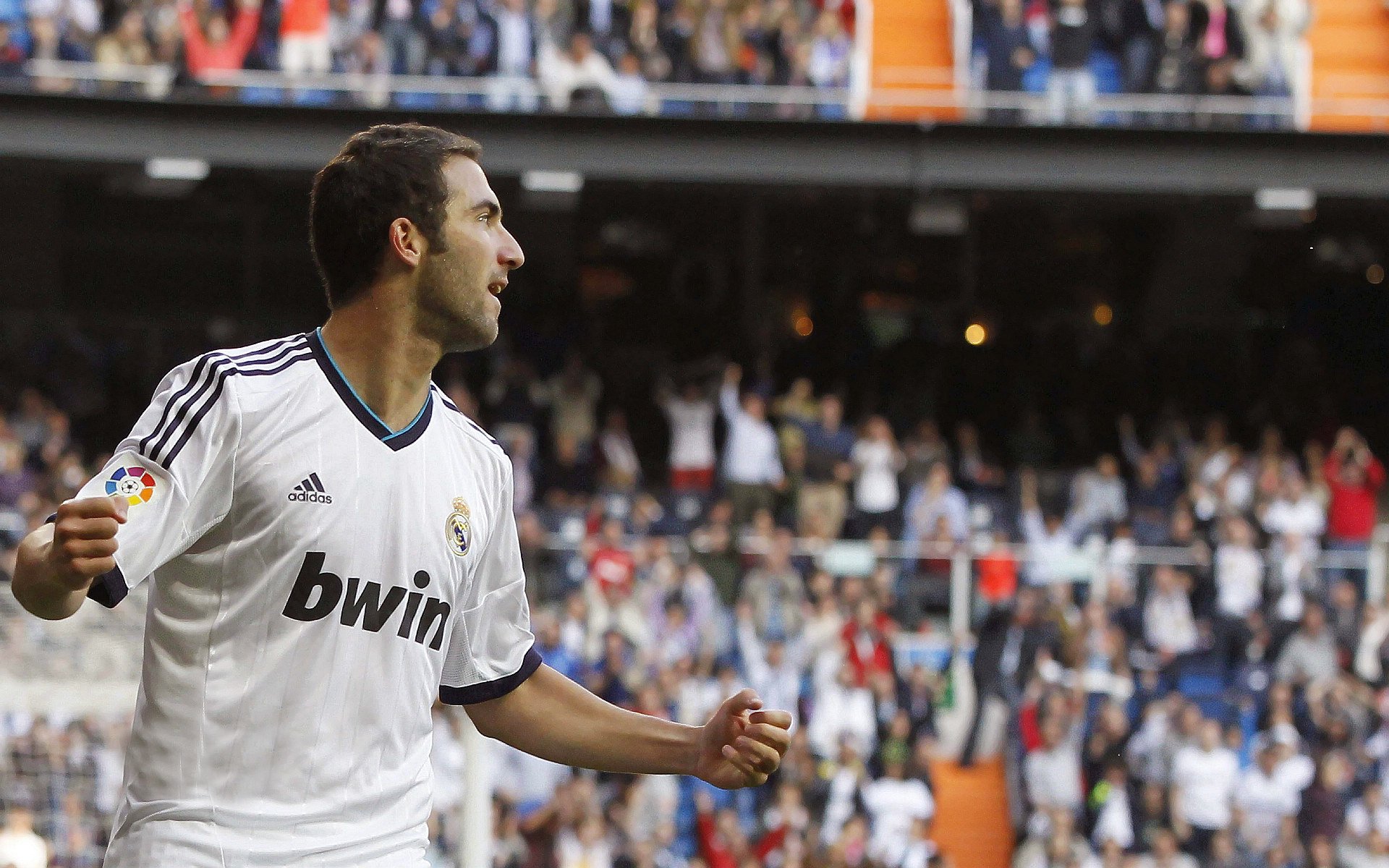 体育赛事观众互动体验，观看体育赛事的价值和意义